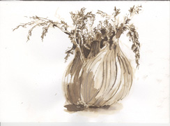 Link to sketches of vegetables